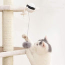 Yoyo Electrónico Cat Toy