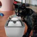 Dispensador de agua para mascotas