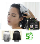 Shampoo Vegetal Cubre Canas Black Hair