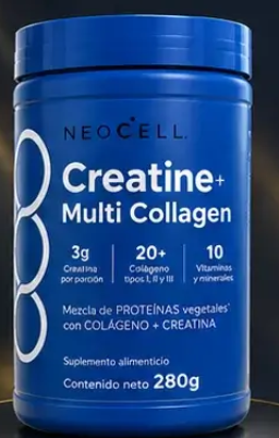 Creatina