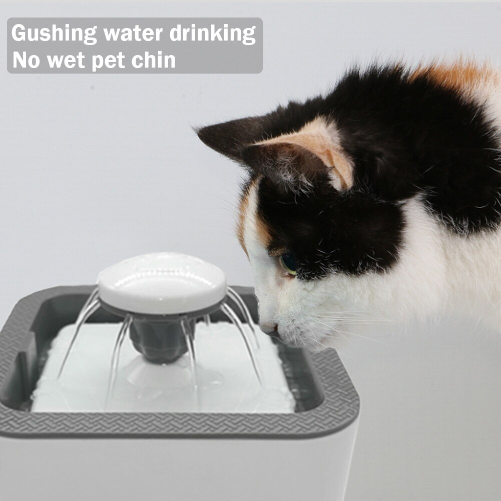 Dispensador de agua para mascotas